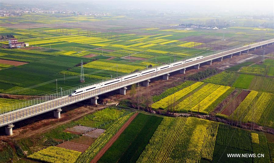 Aerial photo taken on March 20, 2019 shows a bullet train running through cole flower fields in Hanzhong, northwest China\'s Shannxi Province. (Xinhua/Tang Zhenjiang)