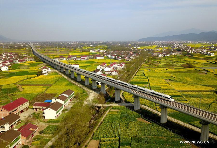 Aerial photo taken on March 20, 2019 shows a bullet train running through cole flower fields in Hanzhong, northwest China\'s Shannxi Province. (Xinhua/Tang Zhenjiang)