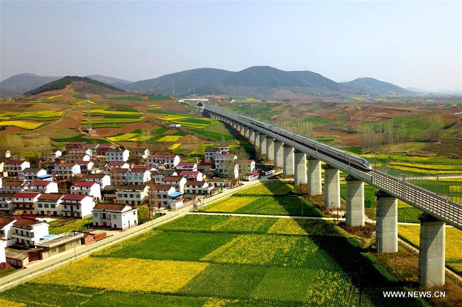 Aerial photo taken on March 20, 2019 shows a bullet train running in through cole flower fields in Hanzhong, northwest China\'s Shannxi Province. (Xinhua/Tang Zhenjiang)