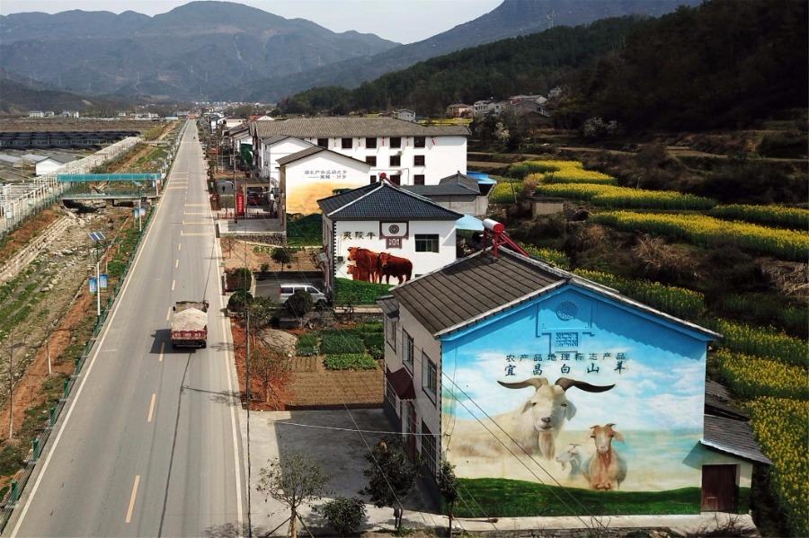 Spring brings beautiful scenery to Puxihe village in Yichang city, Hubei province, March 15, 2019. As the weather becomes warmer, golden cole flowers are blossoming in the region. Meanwhile, local residences are painted with images of animals and agricultural activities, adding liveliness to the landscape. (Photo/Asianewsphoto)