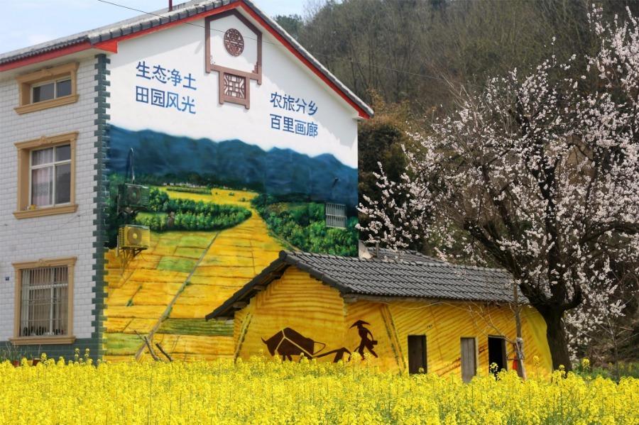 Spring brings beautiful scenery to Puxihe village in Yichang city, Hubei province, March 15, 2019. As the weather becomes warmer, golden cole flowers are blossoming in the region. Meanwhile, local residences are painted with images of animals and agricultural activities, adding liveliness to the landscape. (Photo/Asianewsphoto)