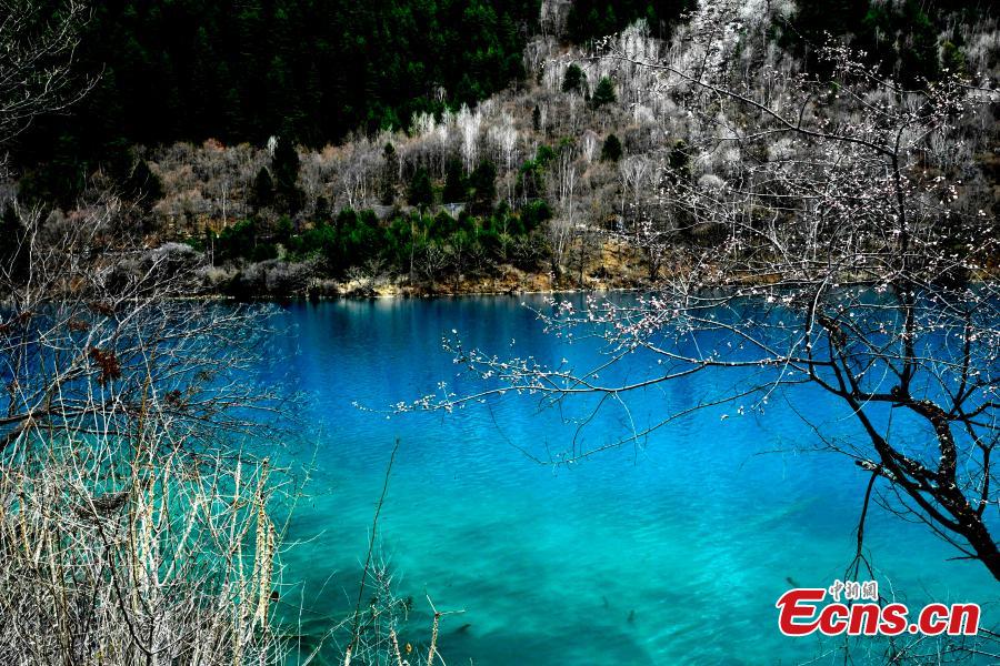 Snow and ice begin to melt as spring arrives in the Jiuzhaigou Valley Scenic Area in Sichuan Province, a UNESCO world heritage site, March 25, 2019. Jiuzhaigou, which literally means \