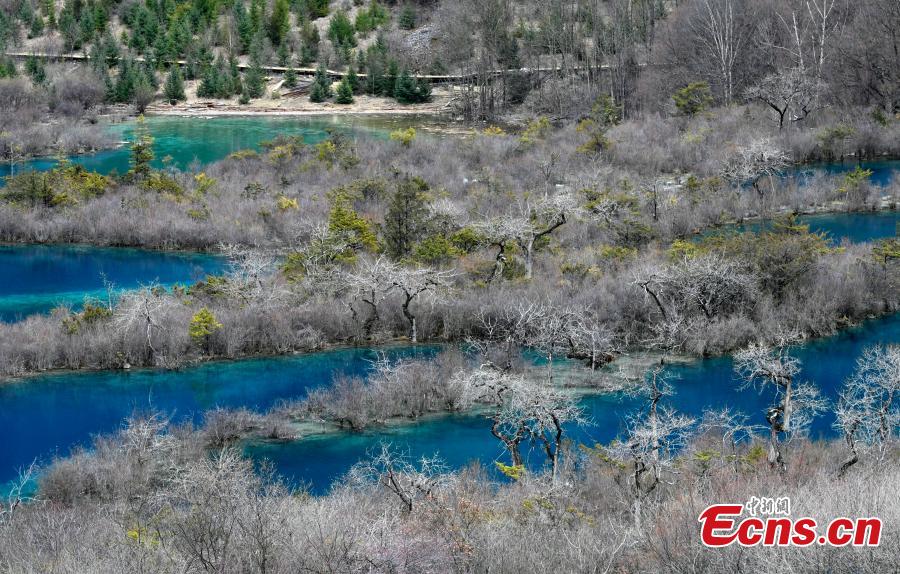 Snow and ice begin to melt as spring arrives in the Jiuzhaigou Valley Scenic Area in Sichuan Province, a UNESCO world heritage site, March 25, 2019. Jiuzhaigou, which literally means \