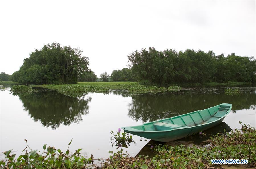 Photo taken on March 25, 2019 shows a spring scenery of Shamei Village in Boao Town, Qionghai City, south China\'s Hainan Province. Qionghai City has quickened its steps towards the construction of \