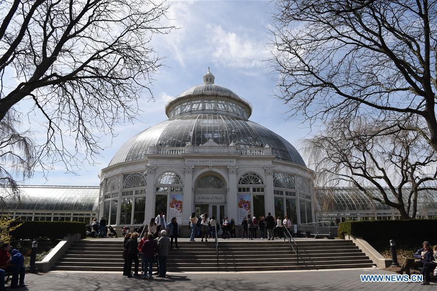 Photo taken on March 24, 2019 shows the Enid A. Haupt Conservatory where the Orchid Show is held at New York Botanical Garden (NYBG) in New York, the United States. The Orchid Show themed Singapore showcases treasures from NYBG\'s exquisite orchid collection as well as Singapore\'s achievements in orchid cultivation, research and conservation. (Xinhua/Han Fang)
