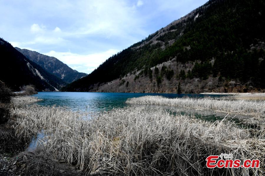 Snow and ice begin to melt as spring arrives in the Jiuzhaigou Valley Scenic Area in Sichuan Province, a UNESCO world heritage site, March 25, 2019. Jiuzhaigou, which literally means \