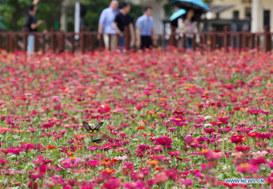 People visit a garden of Nanqiang Village, Boao Town, Qionghai City of south China\'s Hainan Province, March 25, 2019. Qionghai City has quickened its steps towards the construction of \