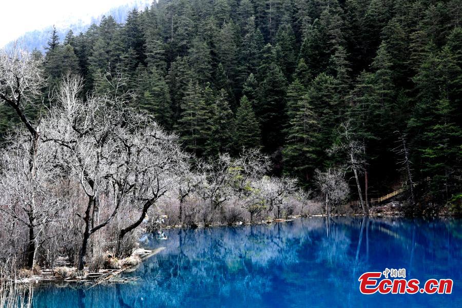 Snow and ice begin to melt as spring arrives in the Jiuzhaigou Valley Scenic Area in Sichuan Province, a UNESCO world heritage site, March 25, 2019. Jiuzhaigou, which literally means \