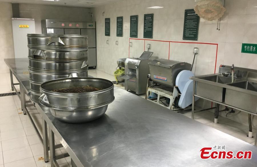 Canteens run by schools have started to implement more rigorous standards to ensure food safety in Nanjing, Jiangsu. The Ministry of Education, the State Regulation for Market Regulation and the National Health Commission recently released a regulation on food safety, nutrition and health in schools, which will take effect on April 4, requiring principals to be responsible for food safety in schools and to dine with students. (Photo: China News Service/Shen Ran)