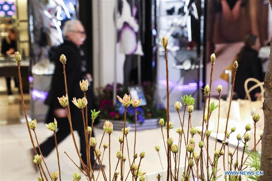 A man visits Macy\'s Flower Show at Macy\'s Herald Square flagship store in New York, the United States, on March 25, 2019. The annual flower show is held from March 24 to April 7 this year. With the theme of \