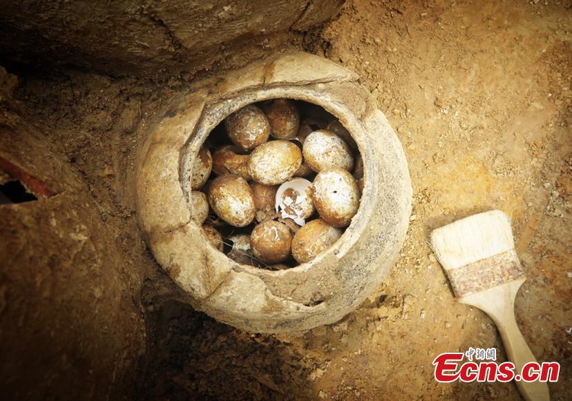 A pottery jar filled with the remains of eggs from 2,500 years ago is found in a tomb of the Spring and Autumn period (approximately 771 to 476 BC) in Shangxing Town, Liyang City, East China\'s Jiangsu Province. The tomb complex, a circular mound, has a diameter of about 40 meters and a height of four meters. Archaeologists have unearthed more than 100 artefacts from the site, including pottery jars and other vessels. The eggshells were found in the No. 11 tomb, along with other utensils. (Photo: China News Service/Shi Jun)