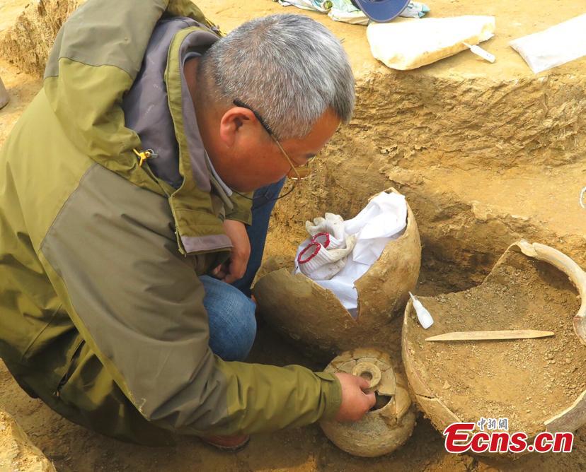 A view of the excavation at a tomb of the Spring and Autumn Period in  Shangxing Town, Liyang City, East China’s Jiangsu Province. . The tomb complex, a circular mound, has a diameter of about 40 meters and a height of four meters. Archaeologists have unearthed more than 100 artefacts from the site, including pottery jars and other vessels. The eggshells were found in the No. 11 tomb, along with other utensils. (Photo: China News Service/Shi Jun)