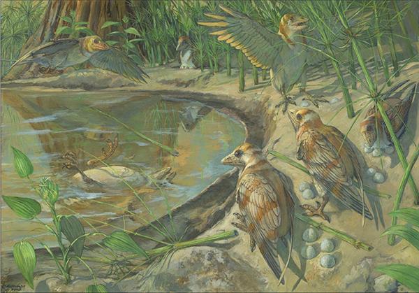 Artistic reconstruction of the dinosaur-era birds and their living environment. (Provided by the Institute of Vertebrate Paleontology and Paleoanthropology of the Chinese Academy of Sciences)