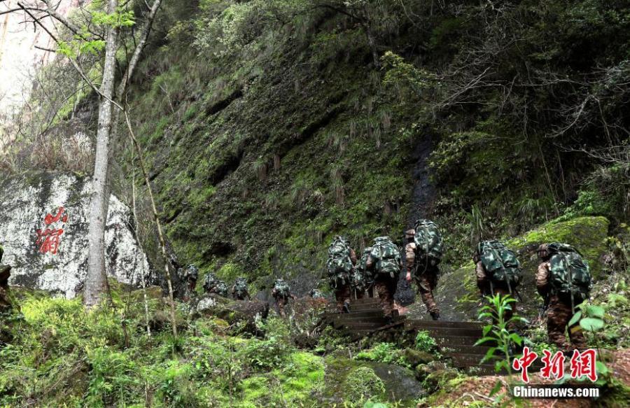 Armed police undergo intensive training in Sanming City, Fujian Province. The training included challenging search and rescue operations and aimed to enhance preparedness against terrorism. (Photo: China News Service/Zhuang Biao)