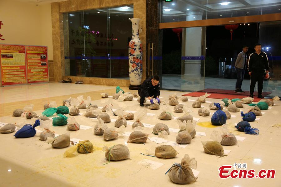 Officials from Nanning Customs display pangolins seized in an anti-smuggling campaign in Nanning City, Southwest China\'s Guangxi Zhuang Autonomous Region, March 29, 2019. The Anti-Smuggling Bureau of General Administration of Customs, its branch in Guangdong Province and Nanning Customs jointly launched the campaign that uncovered nine criminal gangs and seized 103 live pangolins, 52 pangolin carcasses and 21.55 kg of pangolin scales. (Photo: China News Service/Wang Shuyan)
