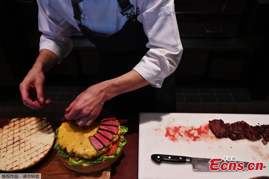 Photo shows the 25cm burger topped with foie gras, slices of Japanese beef, freshly shaved black truffles, sprinkled with gold flakes at an eye-watering cost of US$900, at the Oak Door steakhouse in the Grand Hyatt Tokyo, April 1, 2019.  (Photo/Agencies)