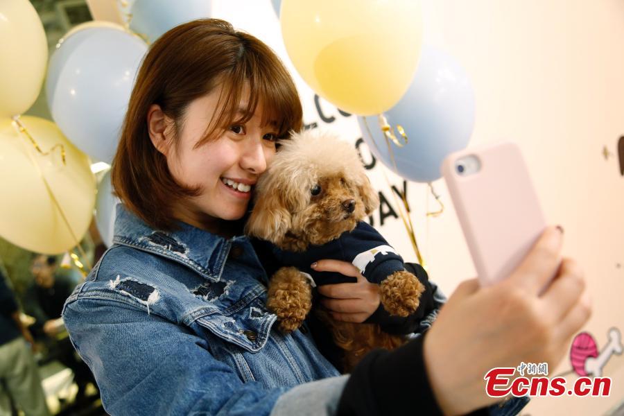 An employee cuddles a pet dog in the offices of a company in Shanghai, March 29, 2019. The company has allowed employees to bring their cats or dogs to the office for its internal Pet Day as a way to reduce work stress. (Photo: China News Service/Tang Yanjun)