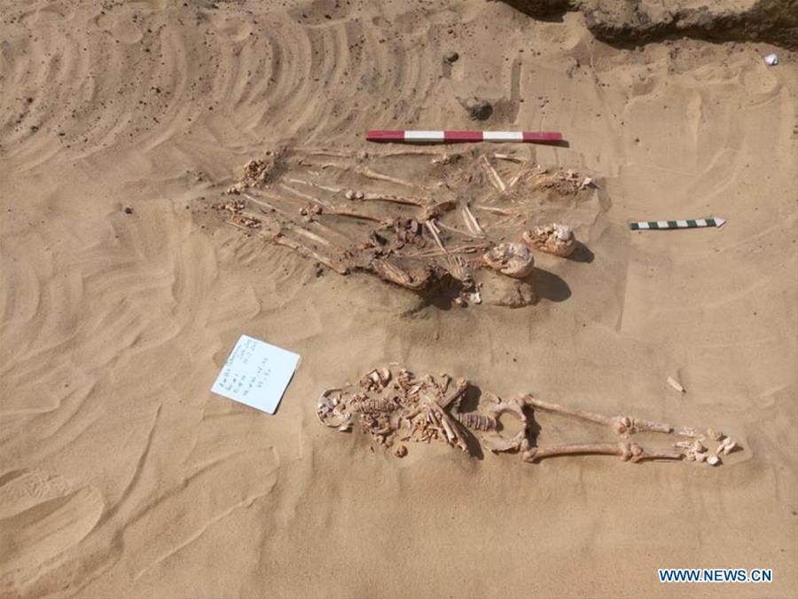 The undated photo provided by Egyptian Ministry of Antiquities on April 1, 2019 shows mummies uncovered in Quesna city of Menoufia province, Egypt. An Egyptian archaeological mission uncovered a limestone-made coffin in Quesna city of Menouifia province, the country\'s Ministry of Antiquities said in a statement on Monday. \