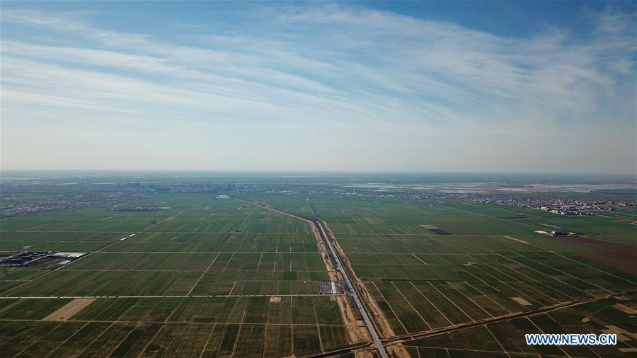 Aerial photo taken on March 31, 2019 shows a cornfield in Xiongan New Area, north China\'s Hebei Province. On April 1, 2017, China announced plans to establish the Xiongan New Area, about 100 km southwest of Beijing. Known as China\'s \