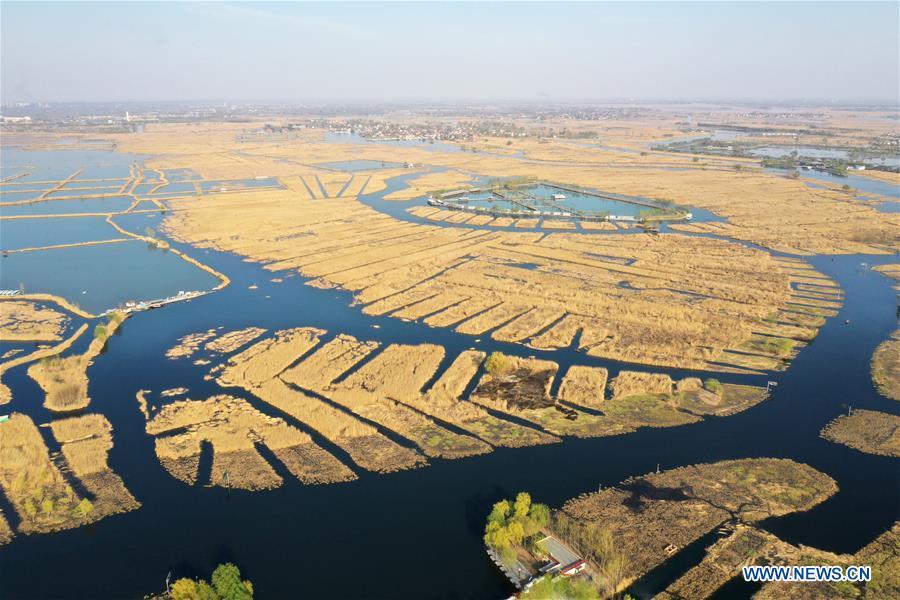 Aerial photo taken on March 31, 2019 shows the Baiyangdian Lake in Xiongan New Area, north China\'s Hebei Province. On April 1, 2017, China announced plans to establish the Xiongan New Area, about 100 km southwest of Beijing. Known as China\'s \