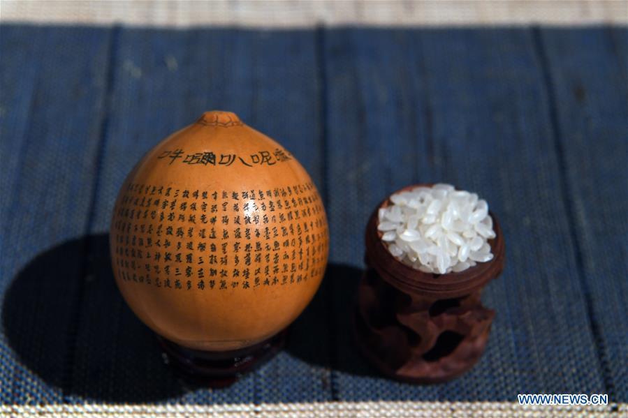 Photo taken on April 1, 2019 shows a carved gourd named \
