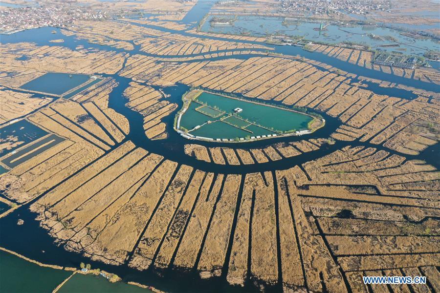 Aerial photo taken on April 1, 2019 shows the scenery of Baiyangdian Lake in Xiongan New Area, north China\'s Hebei Province. On April 1, 2017, China announced plans to establish the Xiongan New Area, about 100 km southwest of Beijing. Known as China\'s \
