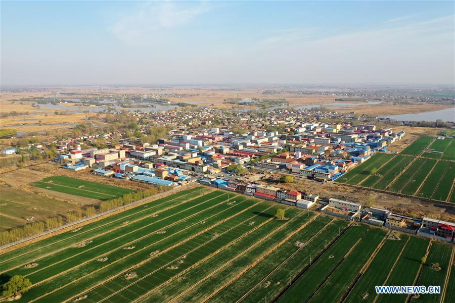 Aerial photo taken on March 31, 2019 shows a village amid the Baiyangdian Lake in Xiongan New Area, north China\'s Hebei Province. On April 1, 2017, China announced plans to establish the Xiongan New Area, about 100 km southwest of Beijing. Known as China\'s \