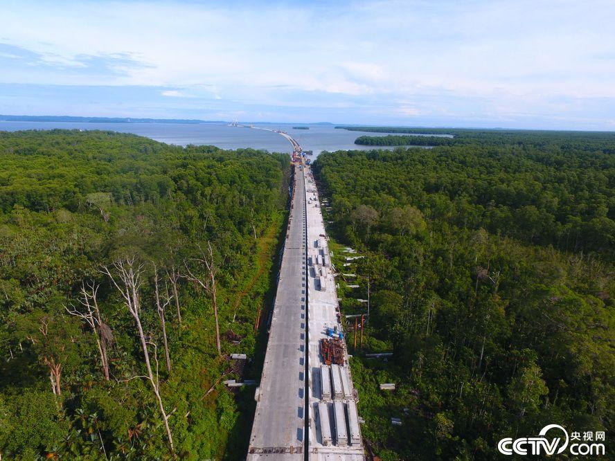 An aerial photo of the CC4 contract of the Temburong Bridge under construction. (Photo/cctv.com)
The Temburong Bridge, the largest infrastructure project in Brunei\'s history, will become the country\'s longest sea-crossing bridge with a total length of about 30 km. It is scheduled to open to traffic by the end of November 2019.

The CC4 section of the bridge is constructed by China State Construction Engineering Corp. At around 11.6 km of the 11.8 km-long section will be a land viaduct traversing the mangrove swamp of the Labu Forest Reserve, the company has established a set of strict safety and green construction evaluation systems to meet the high demand for environmental protection and cope with unprecedented difficulty in construction.