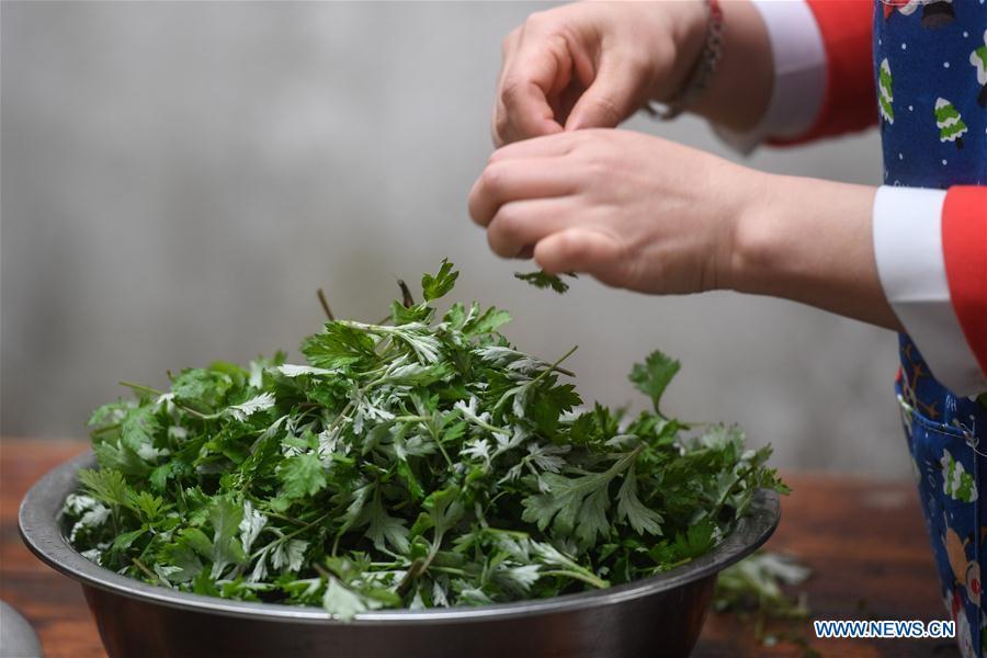 A villager picks wormwood leaves to make Qingtuan, or green sticky rice balls, in Yiyanshan Village of Huzhou, east China\'s Zhejiang Province, April 4, 2019. Qingtuan, made from glutinous rice mixed with wormwood juice and stuffed with bamboo shoot, tofu and preserved meat, is a traditional snack popular mailnly among people living in the south of Yangtze River during the Qingming Festival also known as Tomb Sweeping Day. (Xinhua/Huang Zongzhi)