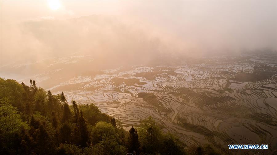 Aerial photo taken on April 3, 2019 shows Hani terraced fields in Yuanyang County, southwest China\'s Yunnan Province. (Xinhua/Hu Chao)