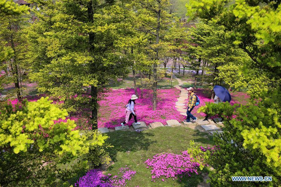 Tourists enjoy themselves at the Zhouji Green Expo Garden during the Qingming Festival holidays in Nantong, east China\'s Jiangsu Province, April 5, 2019. (Xinhua/Xu Congjun)