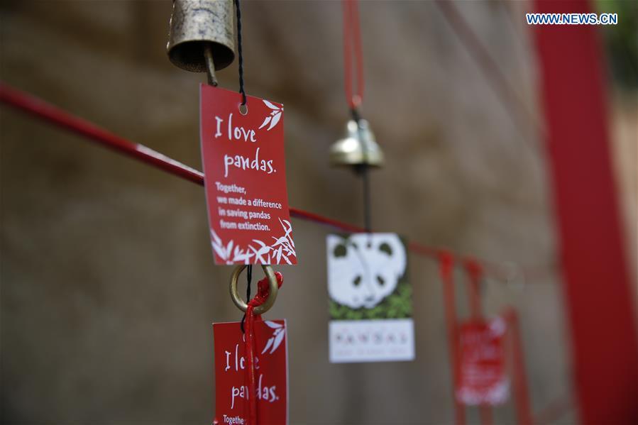 Wishing signs are seen on the Giant Panda Friendship Wall in San Diego Zoo in San Diego, the United States, April 6, 2019. The San Diego Zoo in the U.S. state of California held a special ceremony on Saturday to kick off a three-week farewell event for two giant pandas. Twenty-seven-year-old female giant panda Bai Yun and her son, six-year-old Xiao Liwu, will leave the zoo in late April and be sent back to China, as the zoo\'s conservation loan agreement with China has ended. (Xinhua/Li Ying)