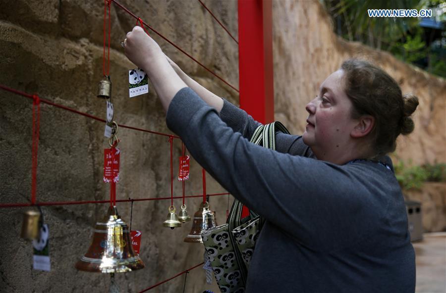 A tourtist hangs a wishing sign on the Giant Panda Friendship Wall in San Diego Zoo in San Diego, the United States, April 6, 2019. The San Diego Zoo in the U.S. state of California held a special ceremony on Saturday to kick off a three-week farewell event for two giant pandas. Twenty-seven-year-old female giant panda Bai Yun and her son, six-year-old Xiao Liwu, will leave the zoo in late April and be sent back to China, as the zoo\'s conservation loan agreement with China has ended. (Xinhua/Li Ying)