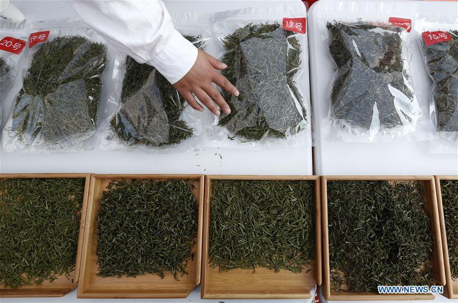 An expert reviews tea leaves during a tea competition in Huangshan, a famous tea producing area in east China\'s Anhui Province, April 7, 2019. Local tea farmers bring a total of 60 varieties of tea leaves to take part in the competition here on Sunday. (Xinhua/Shi Yalei)