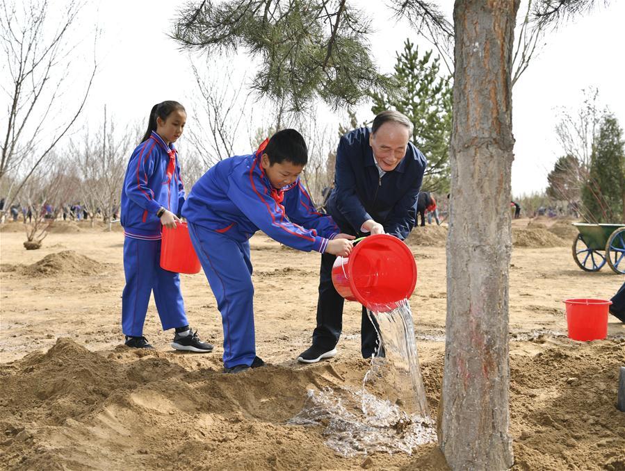 Wang Qishan waters a tree with school children in Tongzhou District in Beijing, capital of China, April 8, 2019. Chinese President Xi Jinping, also general secretary of the Communist Party of China Central Committee and chairman of the Central Military Commission, attended the tree-planting activity on Monday. Other Party and state leaders, including Li Zhanshu, Wang Yang, Wang Huning, Zhao Leji, Han Zheng and Wang Qishan, also attended the activity. (Xinhua/Yin Bogu)