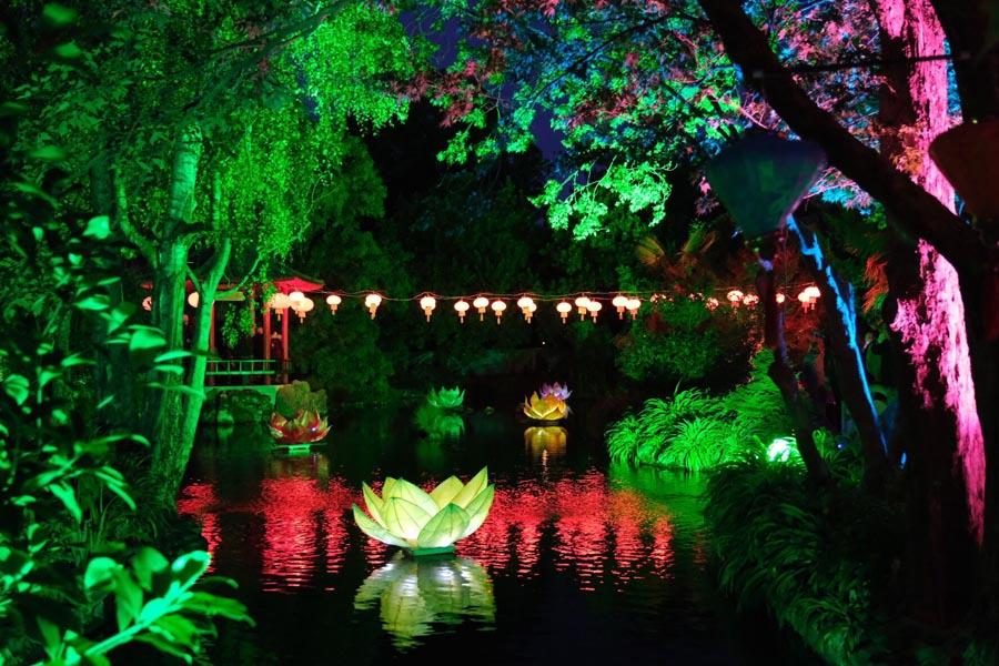 More than 130 Chinese-style lanterns and lotus-shaped lanterns were lit up at Osmanthus Gardens in Cornwall Park during the 10th Chinese Lantern Festival in Hastings, New Zealand, on April 5, 2019. (Photo/Chinaculture.org)