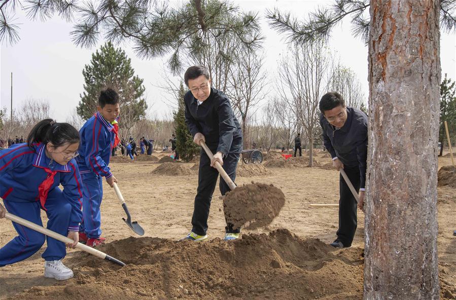 Han Zheng plants a tree in Tongzhou District in Beijing, capital of China, April 8, 2019. Chinese President Xi Jinping, also general secretary of the Communist Party of China Central Committee and chairman of the Central Military Commission, attended the tree-planting activity on Monday. Other Party and state leaders, including Li Zhanshu, Wang Yang, Wang Huning, Zhao Leji, Han Zheng and Wang Qishan, also attended the activity. (Xinhua/Li Tao)