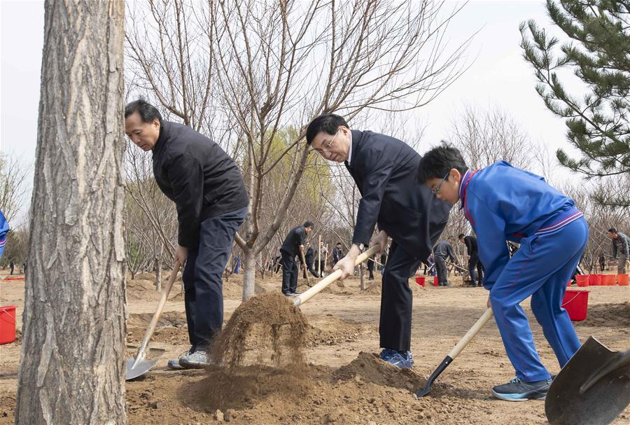 Wang Huning plants a tree in Tongzhou District in Beijing, capital of China, April 8, 2019. Chinese President Xi Jinping, also general secretary of the Communist Party of China Central Committee and chairman of the Central Military Commission, attended the tree-planting activity on Monday. Other Party and state leaders, including Li Zhanshu, Wang Yang, Wang Huning, Zhao Leji, Han Zheng and Wang Qishan, also attended the activity. (Xinhua/Li Tao)