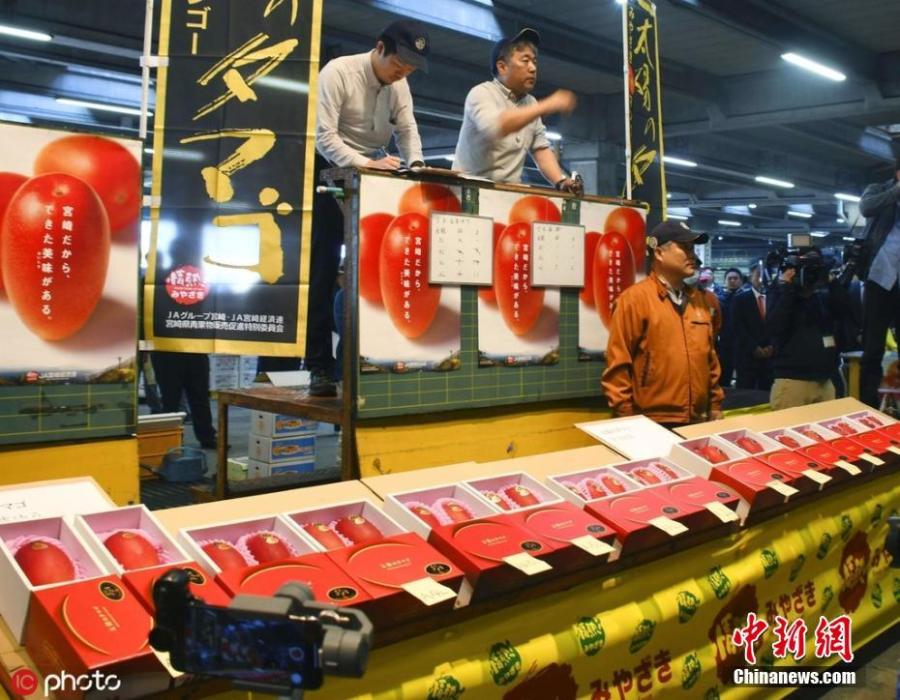 The premium mangoes called Taiyo no Tamago are seen at auction at a wholesale market in Miyazaki Prefecture, Japan, April 8, 2019. (Photo/IC)