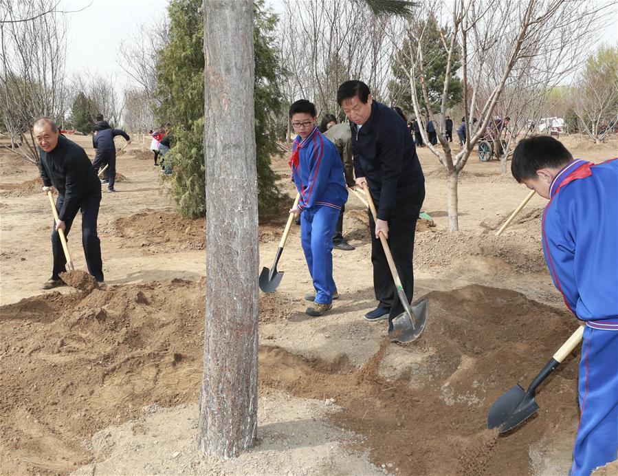 Li Zhanshu plants a tree in Tongzhou District in Beijing, capital of China, April 8, 2019. Chinese President Xi Jinping, also general secretary of the Communist Party of China Central Committee and chairman of the Central Military Commission, attended the tree-planting activity on Monday. Other Party and state leaders, including Li Zhanshu, Wang Yang, Wang Huning, Zhao Leji, Han Zheng and Wang Qishan, also attended the activity. (Xinhua/Pang Xinglei)