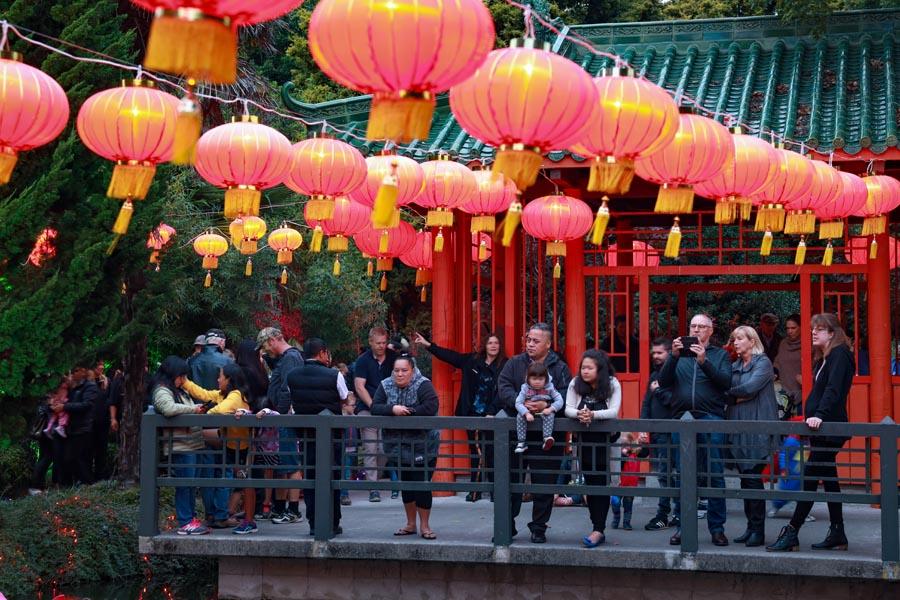 Local people tour Osmanthus Gardens in Cornwall Park during the 10th Chinese Lantern Festival in Hastings, New Zealand, on April 5, 2019. (Photo/Chinaculture.org)