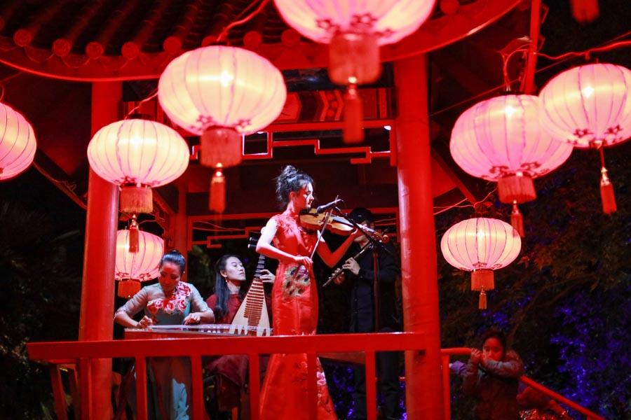 A New Zealand student plays violin while Chinese musicians play the guzheng, pipa and flute during the 10th Chinese Lantern Festival in Hastings, New Zealand, on April 5, 2019. (Photo/Chinaculture.org)