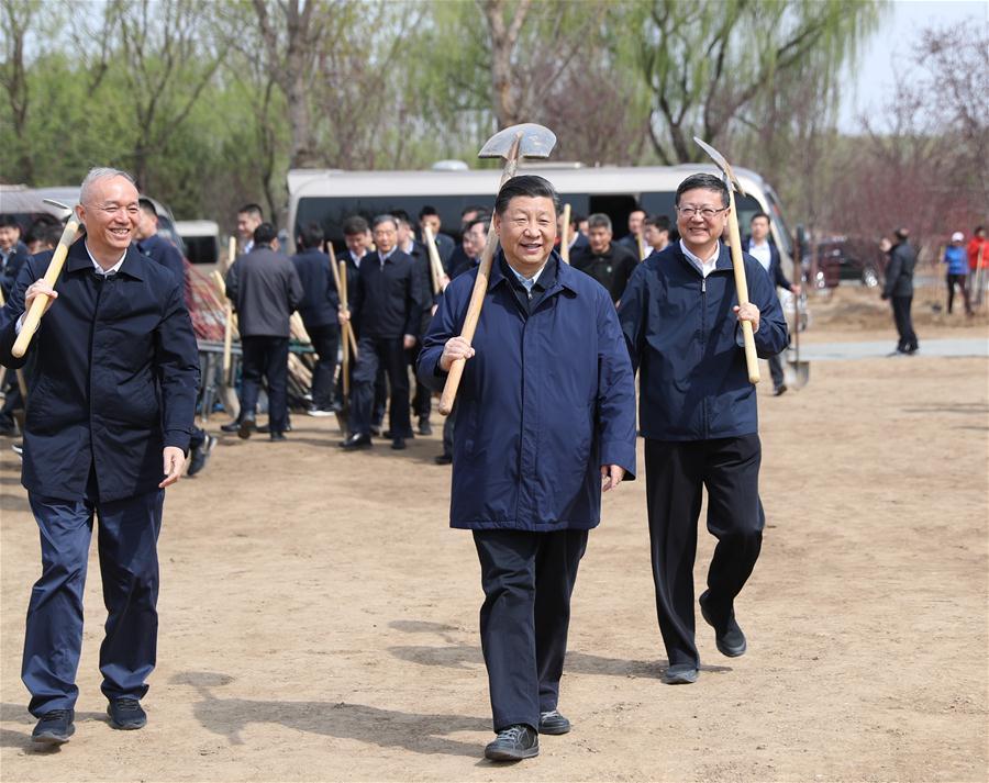 Chinese President Xi Jinping, also general secretary of the Communist Party of China Central Committee and chairman of the Central Military Commission, attends a tree-planting activity in Tongzhou District in Beijing, capital of China, April 8, 2019. Other Party and state leaders, including Li Zhanshu, Wang Yang, Wang Huning, Zhao Leji, Han Zheng and Wang Qishan, also attended the activity. (Xinhua/Ju Peng)