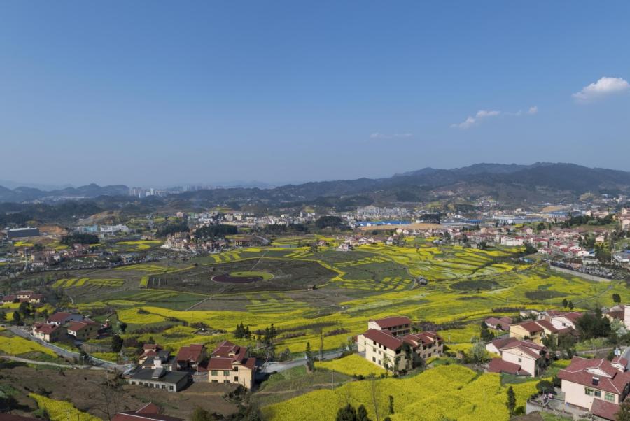A panoramic view of the Eight Diagram-patterned plantation, which is covered with blooming rapeseed flowers, in Pipa village of Renhuai city, Southwest China\'s Guizhou Province. (Photo provided to chinadaily.com.cn)