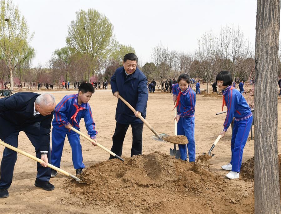 Chinese President Xi Jinping, also general secretary of the Communist Party of China Central Committee and chairman of the Central Military Commission, attends a tree-planting activity in Tongzhou District in Beijing, capital of China, April 8, 2019. Other Party and state leaders, including Li Zhanshu, Wang Yang, Wang Huning, Zhao Leji, Han Zheng and Wang Qishan, also attended the activity. (Xinhua/Xie Huanchi)