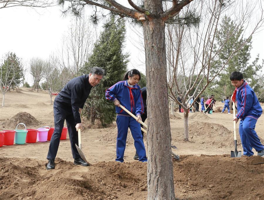 Wang Yang plants a tree in Tongzhou District in Beijing, capital of China, April 8, 2019. Chinese President Xi Jinping, also general secretary of the Communist Party of China Central Committee and chairman of the Central Military Commission, attended the tree-planting activity on Monday. Other Party and state leaders, including Li Zhanshu, Wang Yang, Wang Huning, Zhao Leji, Han Zheng and Wang Qishan, also attended the activity. (Xinhua/Pang Xinglei)