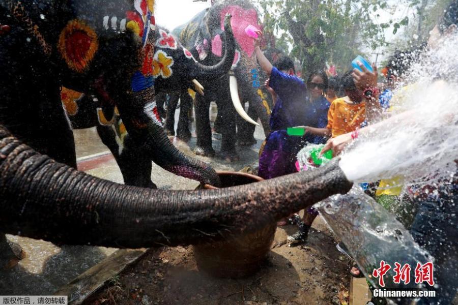Revellers and elephants splash water at each other during a ceremony to celebrate the Buddhist New Year, locally known as Songkran, in Ayutthaya on April 11, 2019. (Photo/Agencies)