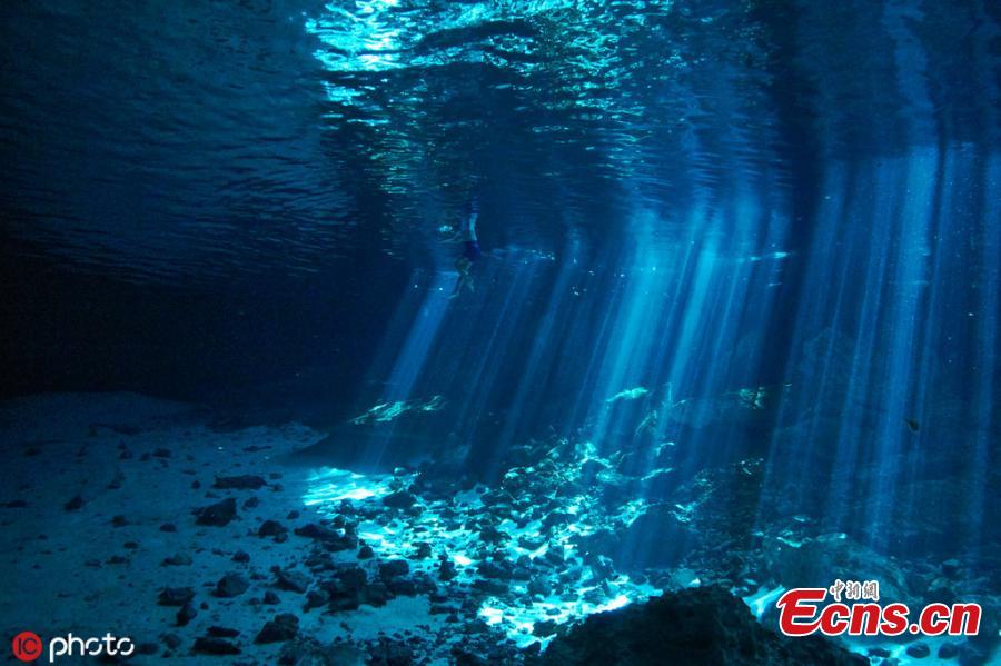 Photo taken by Kirk Zhang shows people diving in freshwater in cenotes illuminated with sunlight from the outside in Mexico. Diving in the caverns, windows to large underground river systems, is a unique experience with  amazing light effects. (Photo/IC)
