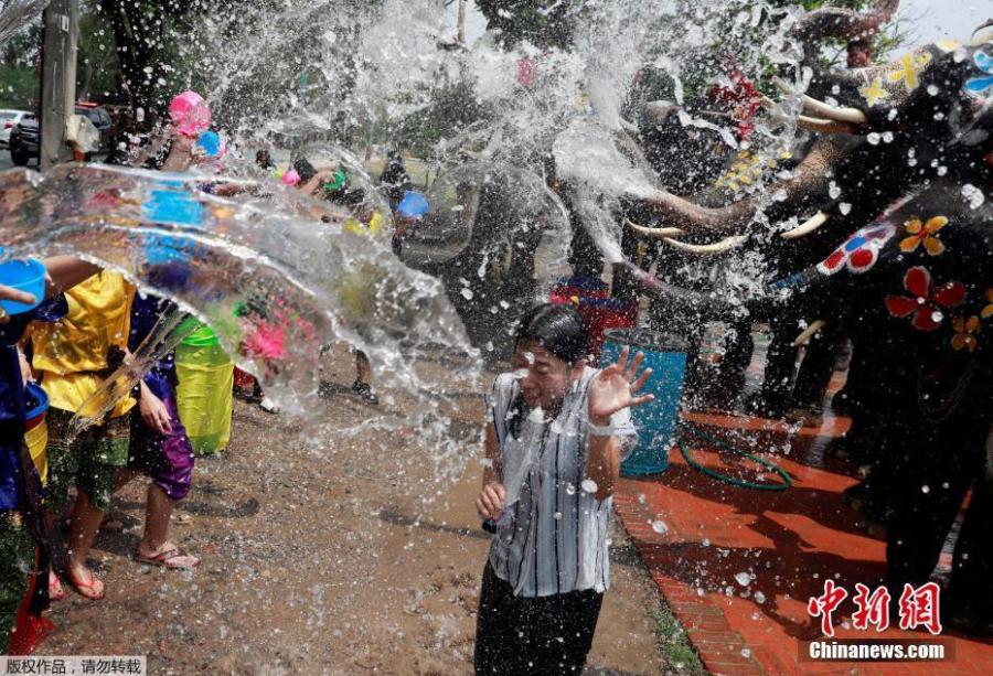 A woman reacts while reporting as people and elephants play with water in the background as part of celebrations for the water festival of Songkran, which marks the start of the Thai New Year, in Ayutthaya, Thailand April 11, 2019.  (Photo/Agencies)