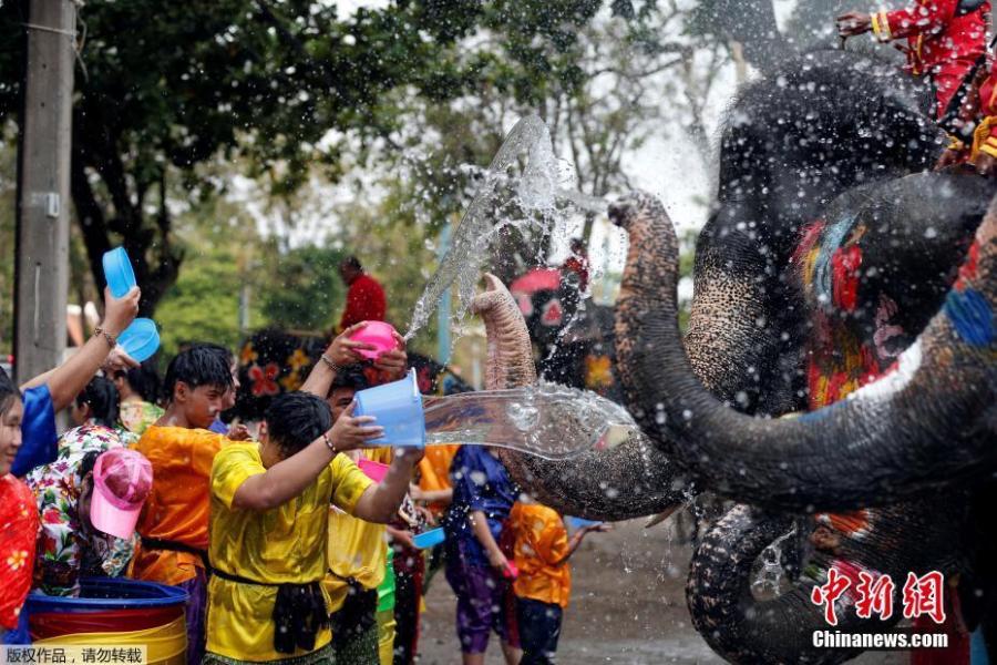 Elephants and people play with water as part of celebrations for the water festival of Songkran, which marks the start of the Thai New Year in Ayutthaya, Thailand April 11, 2019. (Photo/Agencies)
